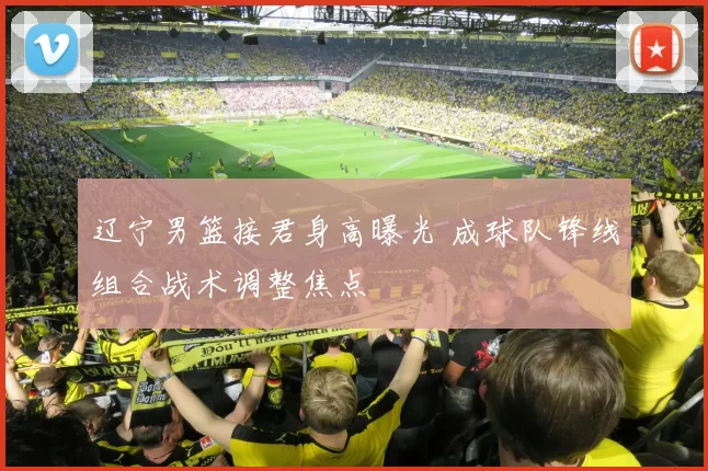 辽宁男篮接君身高曝光 成球队锋线组合战术调整焦点