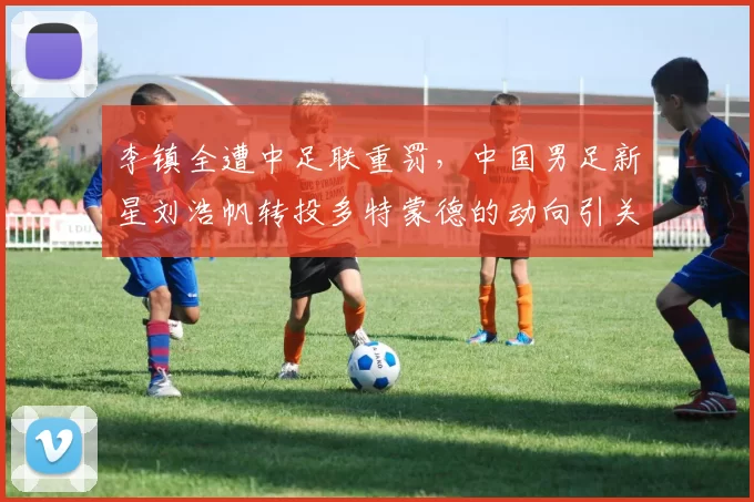 李镇全遭中足联重罚，中国男足新星刘浩帆转投多特蒙德的动向引关注_处罚_浙江队_米特里