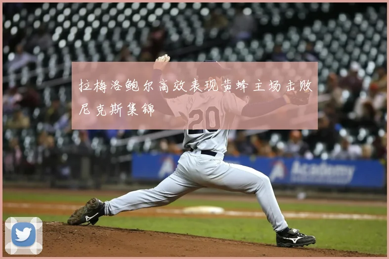 拉梅洛鲍尔高效表现黄蜂主场击败尼克斯集锦
