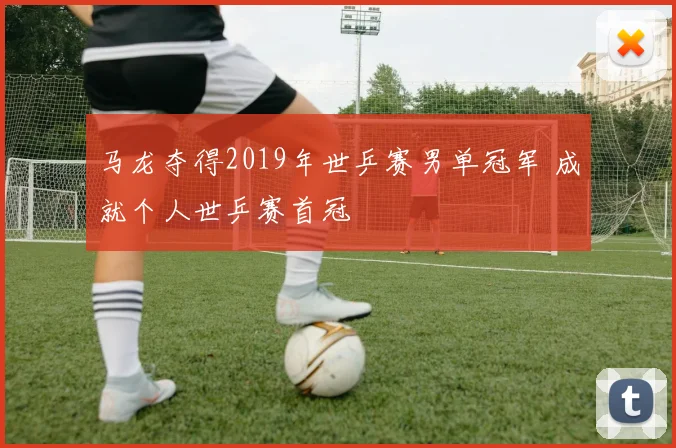 马龙夺得2019年世乒赛男单冠军 成就个人世乒赛首冠
