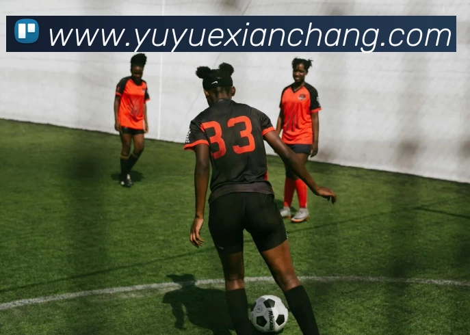 App Interface Preview