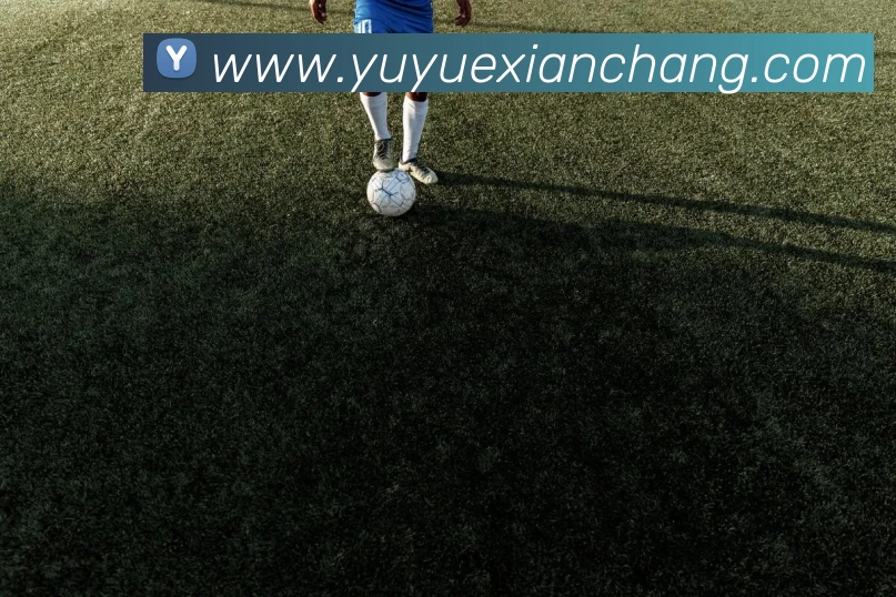 ayx官方网页全站App